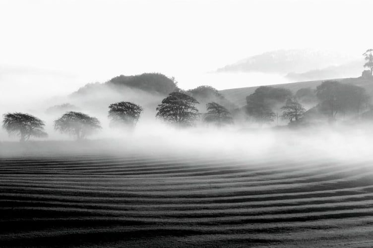 Misty Morning by Jane Elliott-Renney