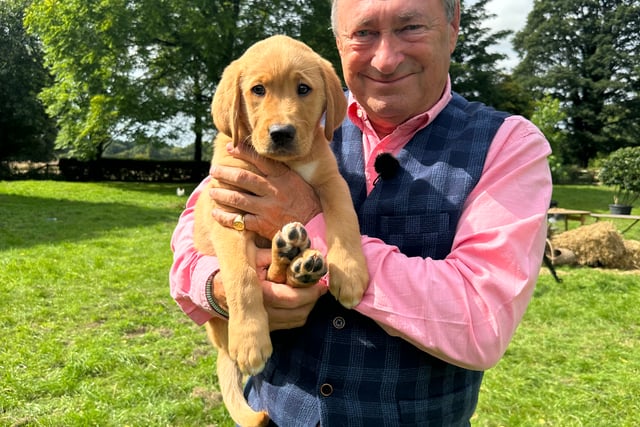 Alton puppy Titch joins Alan Titchmarsh for second TV appearance