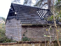 Anger as bat sanctuary targeted in suspected arson BH LEAD