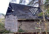 Anger as bat sanctuary targeted in suspected arson