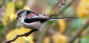 VIDEO GALLERY: Our readers' photos 