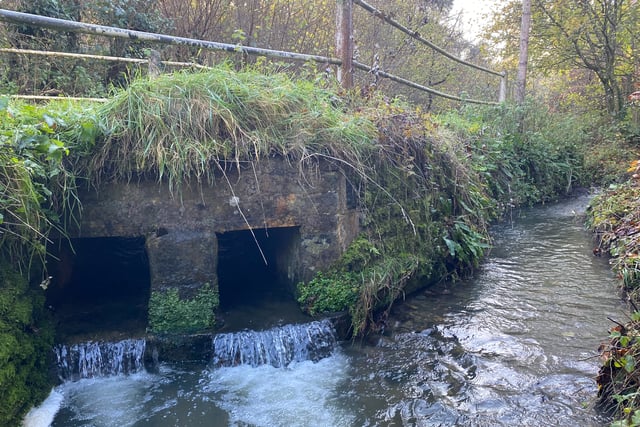Dirty weekend of shame as sewage pumped into Wey for 49 hours
