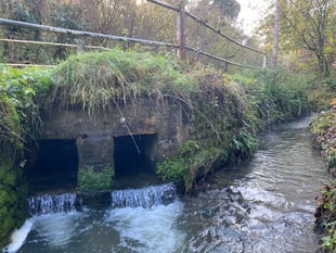 Waverley council condemns Thames Water after flood of failures