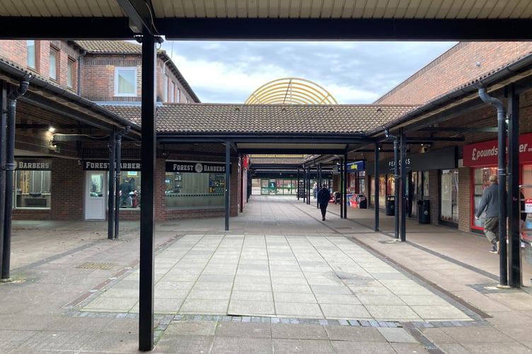 Forest Centre Bordon Christmas Decorations