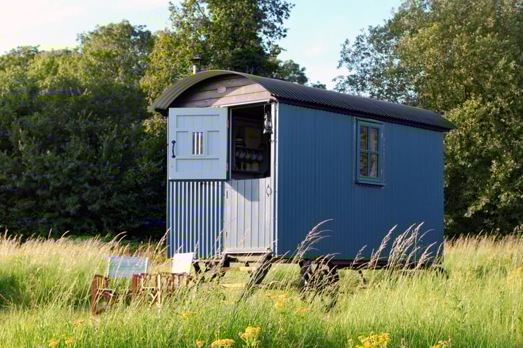 Beacon Shepherd's Hut Glamping at Wallops Wood