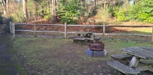 Finger pointed at teens for distillery bench theft