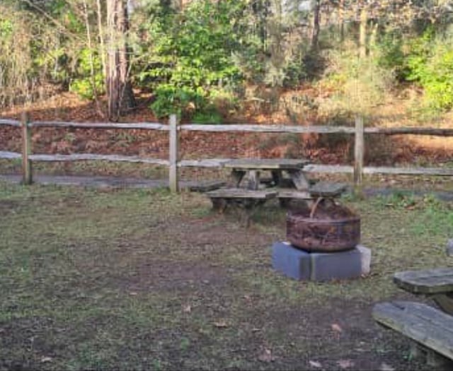 Finger pointed at teens for distillery bench theft
