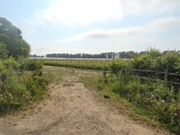 Neighbours raise safety concerns after approval for new sports pitches