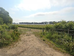 Neighbours raise safety concerns after approval for new sports pitches
