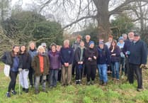 The green heart of Wrecclesham: Conservation group celebrates a year of progress