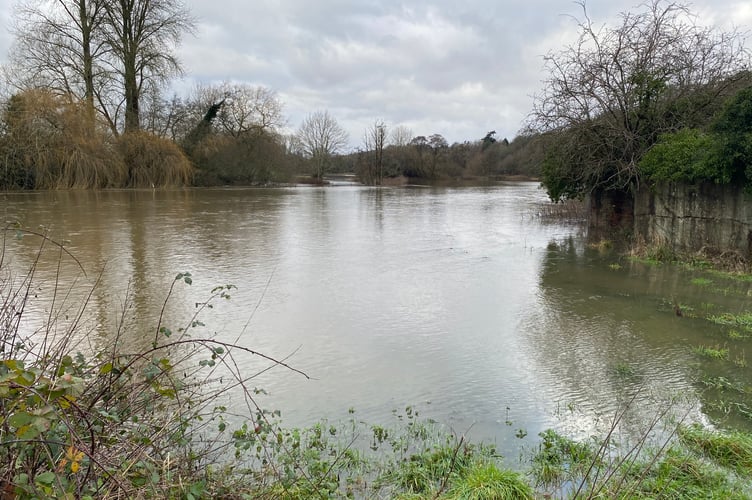 Flooding River Wey Tilford PIC4