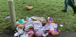 What a waste as council bin stolen and emptied