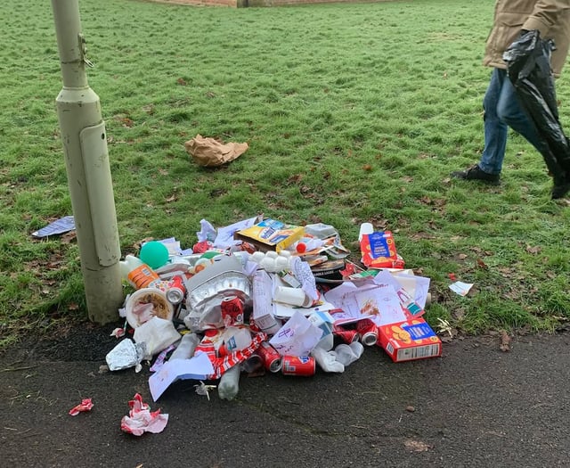 What a waste as council bin stolen and emptied