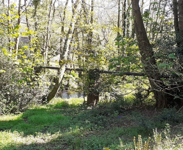 Ecological disaster hangs over River Wey