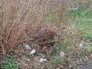 Petersfield's volunteer litter pickers are on strike
