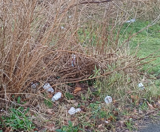 Your letters to the editor: Litterbugs are a disgrace to this country