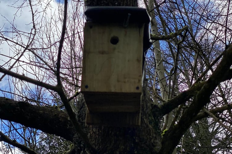 Wrecclesham Conservation Birdbox