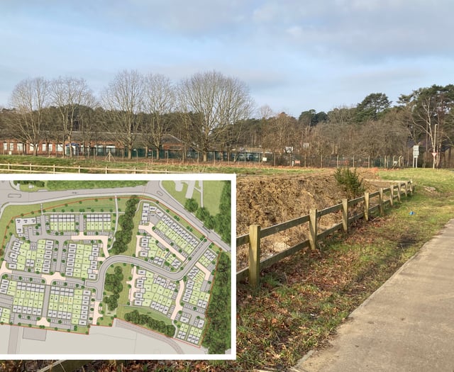 More housing on horizon as feedback sought on homes plan
