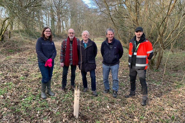Left to right: Julia Nethercott, principal ecologist; Cllr Ian James; Cllr Roger Mullinger; Cllr Robert Mocatta and Cameron King, arboricultural officer.
Liss Riverside Railway Walk, new Black Poplar trees, Feb 2025.