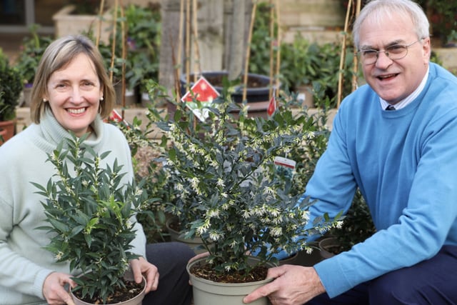 Squire’s Garden Centres unveils new botanical collection from Liss 