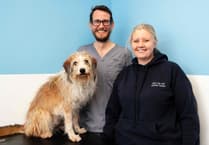 Celebrity pup gets star treatment at Petersfield vets