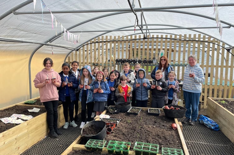 Whitehill Community Polytunnel Weyford School