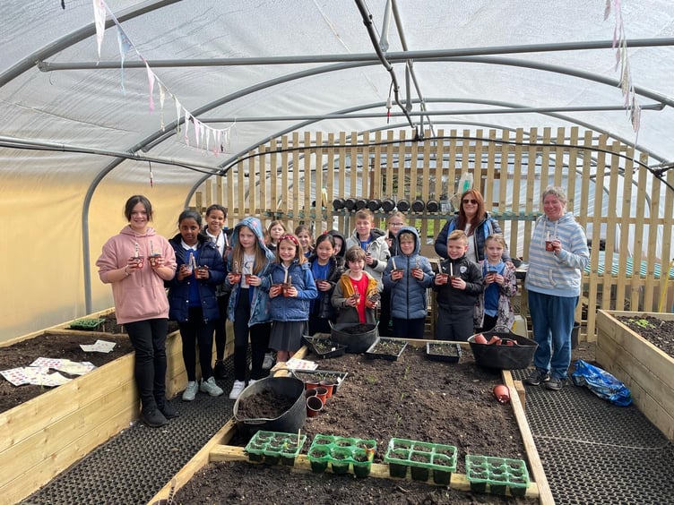 Whitehill Community Polytunnel Weyford School
