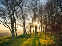 Vital repairs at iconic National Park spot