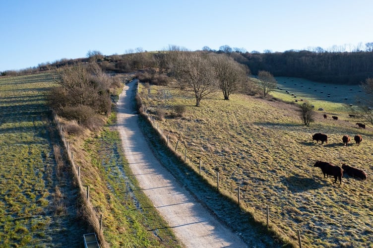 Refurbished path at Chanctonbury Ring, Tim Kahane BMC