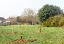 Inquest launched as identity of body found on Liss green confirmed