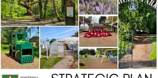 Planning for the future as town council has a strategy