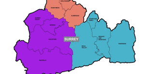 Waverley leaders back three-unitary model