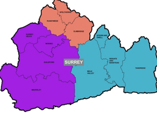 Waverley leaders back three-unitary model