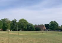 Cricket returns to Upper Hale