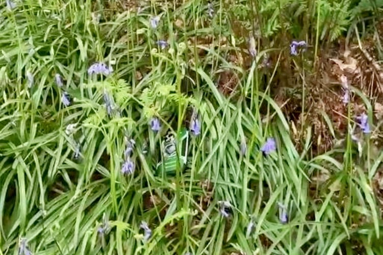 Casey Flay finding his phone. Release date  May 5, 2025.  A skydiver whose phone flew out of his pocket at 14,000ft was stunned when he later tracked it down to a forest and found it - without a scratch on it. Casey Flay, an experienced wingsuiter and skydiver, jumped from the plane like he had so many times before but completely forgot to zip the front pocket with his phone in. A video of his skydive in Honiton, Devon, shows the 37-year-old preparing to leap with his iPhone 13 Pro Max peeking out of his overalls. As he takes his leap, the phone flies out of his pocket and plummets towards the Earth. Following his dive, engineer Casey - oblivious to the fact his phone had fallen alongside him - asked others in the plane if he'd left it up there. But he was shocked when he used the Find My iPhone app to track his phone down to a forest four miles away from where he'd landed. Even more surprising, however, was the fact that the 14,000ft (2.65 mile) drop appeared hardly to have left a mark on his device.