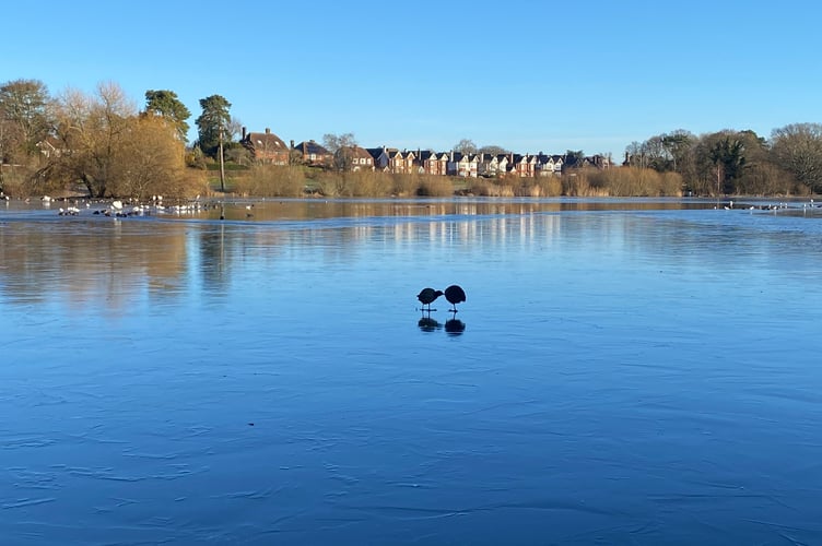 Frozen Petersfield Heath Pond 2024