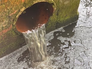 Your letters to the editor: Sea change for our rivers and coasts