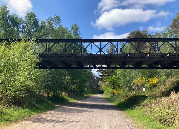 Longmoor Ranges Liss PIC1