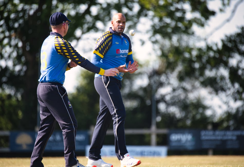Brewers struggle against impressive Pompey
