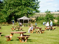 National Beer Garden Day: celebrate by supporting your local in East Hampshire, as pubs and bars continue to shut across the UK