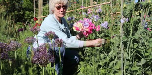 Excitement grows as gardens to welcome hundreds for charity