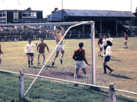 Help make the Daly Ground better for Whitehill & Bordon