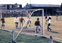 Help make the Daly Ground better for Whitehill & Bordon