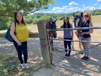 Council recommends approval for 49 homes on Rowledge equestrian site