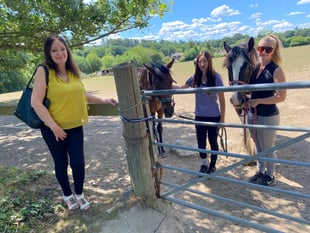 Equestrian centre faces biggest hurdle as 49 homes proposed