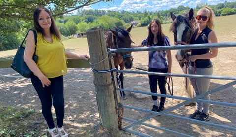 Council recommends approval for 49 homes on Rowledge equestrian site