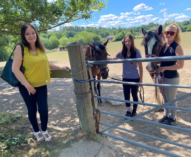 Equestrian centre faces biggest hurdle as 49 homes proposed