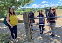 Rowledge equestrian centre faces biggest hurdle as 49 homes earmarked for field