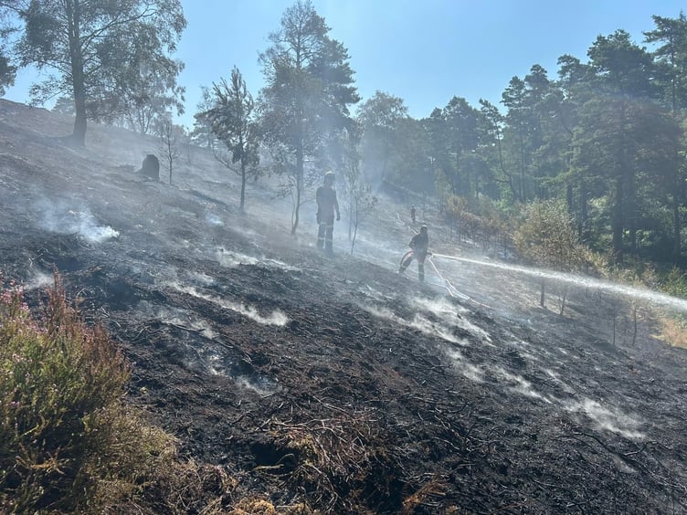 Hankley Common Fire Thursley