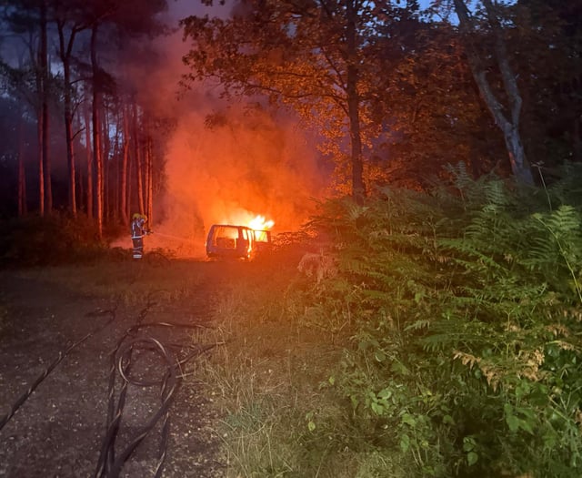 Car set alight in woodland near Bordon amid severe fire risk
